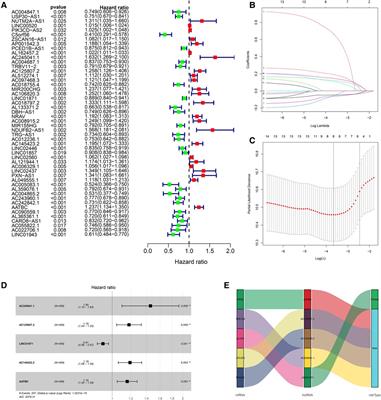 Ferroptosis-related lncRNA signature predicts prognosis and immunotherapy efficacy in cutaneous melanoma